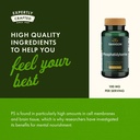 swanson-phosphatidylserine-100-mg-90-sof-5.jpg