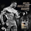 pmd-sports-amplify-xl-premium-whey-prote-3.jpg