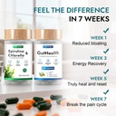 gut-health-spirulina-chlorella-bundle-pr-3.jpg