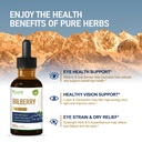 bilberry-extract-supplement-for-eye-heal-2.jpg