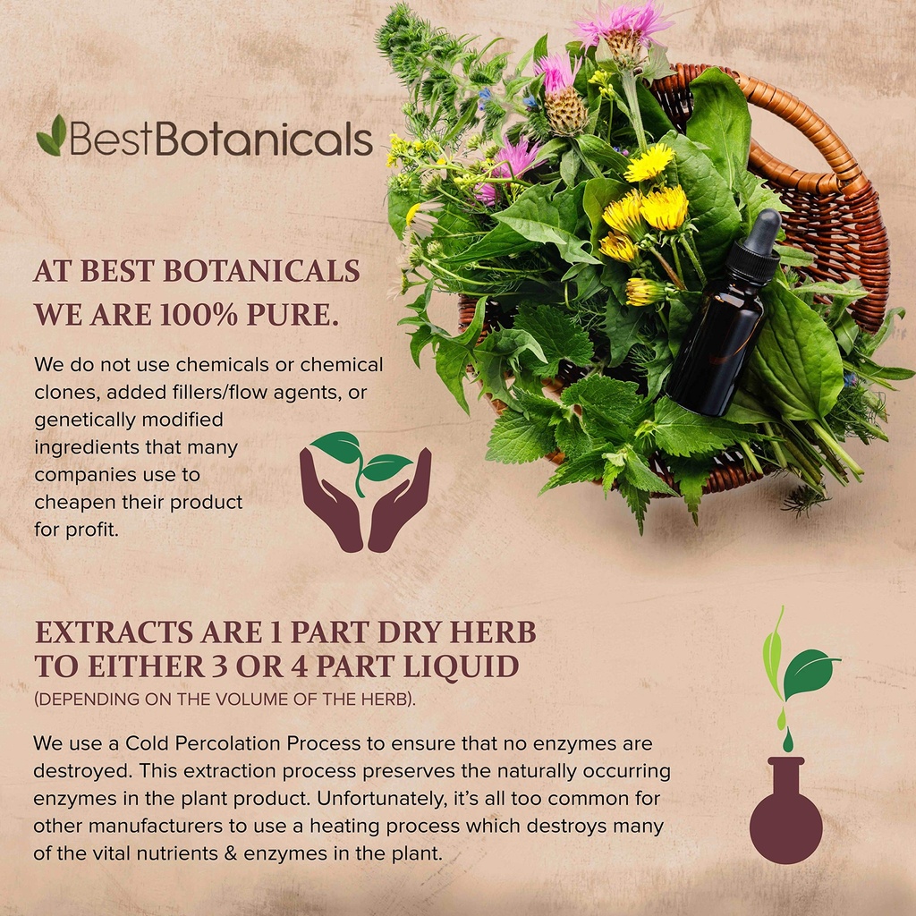 bilberry-leaf-extract-1-oz-4.jpg
