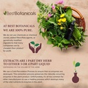 bilberry-leaf-extract-1-oz-4.jpg