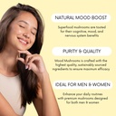 mood-mushrooms-lifted-mushroom-supplemen-4.jpg