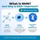 nutratology-nmn-supplement-pure-nad-boos-4.jpg
