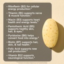 naturewise-1-super-vitamin-b-complex-vit-3.jpg