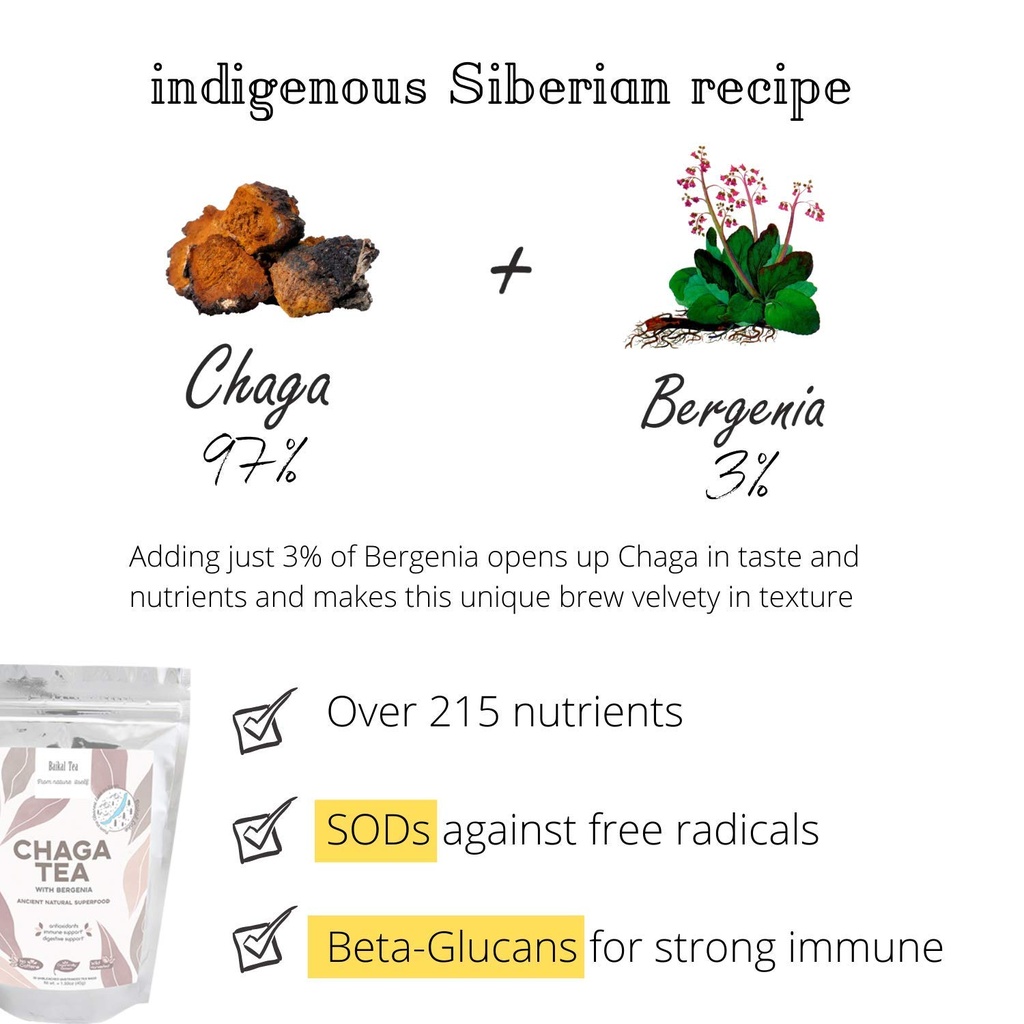chaga-tea-100-wild-chaga-mushrooms-with--2.jpg
