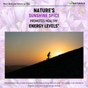 natural-saffron-supplements---pure-premi-5.jpg