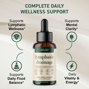 lymphatic-drainage-drops-liposomal-lymph-3.jpg