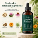 elavyn-lymphatic-drainage-drops-herbal-l-3.jpg