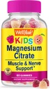 wellyeah-iron-vitamin-c-kids-magnesium-c-3.jpg