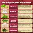 brain-supplements-for-memory-and-focus-n-6.jpg