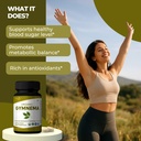 organic-spree-gymnema-120-tablets-gymnem-4.jpg