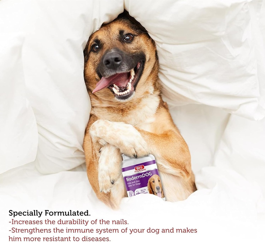 bio-pet-active-biodermdog-05-zinc-and-bi-5.jpg