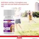 bio-pet-active-biodermdog-05-zinc-and-bi-6.jpg