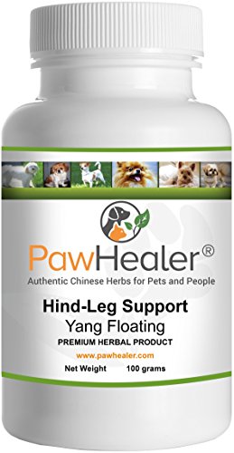 pawhealer-hind-leg-weakness-yang-floatin-6.jpg