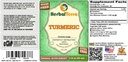 turmeric-curcuma-longa-glycerite-organic-2.jpg