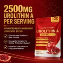 urolithin-a-supplement-2500mg-with-nad-r-81Xu2ixMGjL.jpg