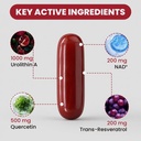 urolithin-a-supplement-1000mg-with-nad-t-717-tEYjLTL.jpg