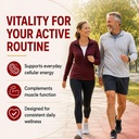 urolithin-a-supplement-2500mg-with-nad-p-81aGv9kVjqL.jpg