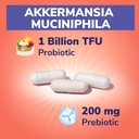 vitalibre-akkermansia-muciniphila-probio-61UEfzH7imL.jpg