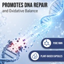 nmn-supplement-1000mg-pure-nicotinamide--81INGMeVGUL.jpg