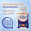 vitamatic-lactobacillus-salivarius-50-bi-81Re23A9CWL.jpg