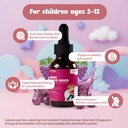 kids-iron-supplement-liquid-drops-for-ch-71UYllEk1cL.jpg