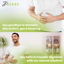dherbs-intestinal-cleanser-digestion-sup-71C7TSi2BML.jpg