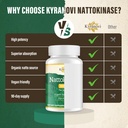 nattokinase-supplement-enteric-coated-ta-71SONarZcSL.jpg