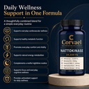 corvael-nattokinase-20000-fu-with-vitami-71WYoBFMK1L.jpg