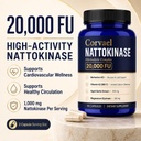 nattokinase-20000-fu-nattokinase-fibrino-71Ynzp8UkYL.jpg