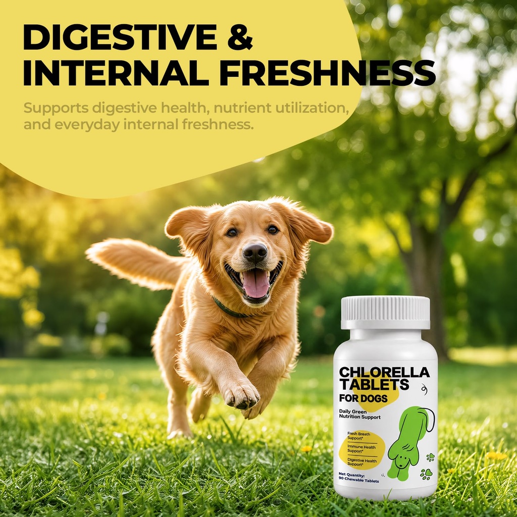 chlorophyll-for-dogs-chlorella-breath-fr-71GIp8HhhUL.jpg
