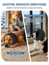 dog-no-shake-ear-wraps-s-gray-noise-canc-71wabJ+gzvL.jpg