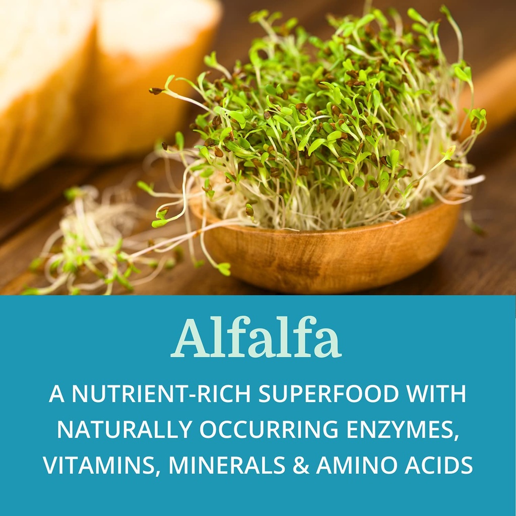morter-superdigest-6-pack-7-plant-based--71rZguNSJxS.jpg