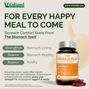 stomach-plus-herbal-ulcer-gastritis-supp-71ULxq6NaCL.jpg