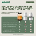stomach-plus-herbal-ulcer-gastritis-supp-71ogg3zN2cL.jpg