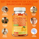 calcium-magnesium-zinc-supplement-gummie-71dPjj-M0tL.jpg