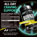 burn30-glp-1-supplement-super-berberine--81T9d8R9p0L.jpg