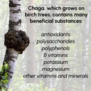 chaga-mushrooms-powder-8-oz-natural-anti-81vecgIrNPL.jpg
