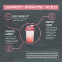 creatine-monohydrate-powder-micronized-p-81WuPWLd9BL.jpg