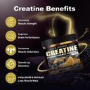 lanshi-creatine-monohydrate-gummies-5000-71oSnFN8xsL.jpg
