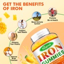 2-pack-iron-gummies-for-women-men-vegan--71WphzraklL.jpg