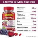 iron-gummies-for-women-men-sugar-free-ir-61rb2UHsM2L.jpg