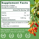 berberine-hcl-1000mg-150-softgels-plus-m-81KPaVzFn5L.jpg