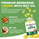 berberine-hcl-1000mg-300-softgels-plus-m-81XJGaFG5bL.jpg