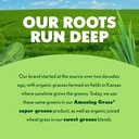 amazing-grass-super-greens-powder-origin-81LDFDdFvoL.jpg