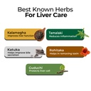 zandu-livital-liver-detox-tablets-clinic-61Wh50JkW8L.jpg