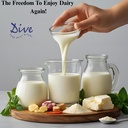 dive-daily-lactase-enzyme-chewable-table-71iWkZ8ciTL.jpg