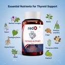 redo-thyroid-support-kanchnar-herbal-ble-61pdWX2OlpL.jpg