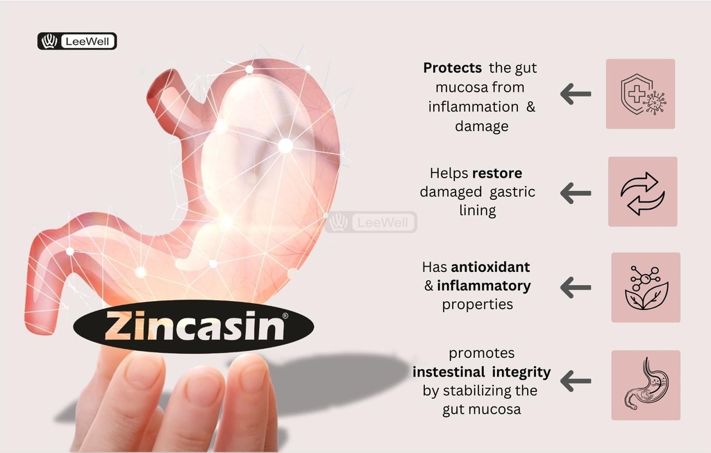 zincasin-pro-by-leewell-digestive-enzyme-61Q3uJx-3gL.jpg